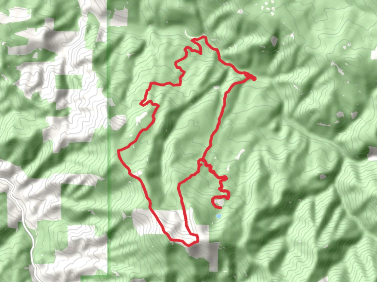 An image depicting the trail Crawfish Creek, Adams Mountain and Cedar Creek Loop and its surrounding area.