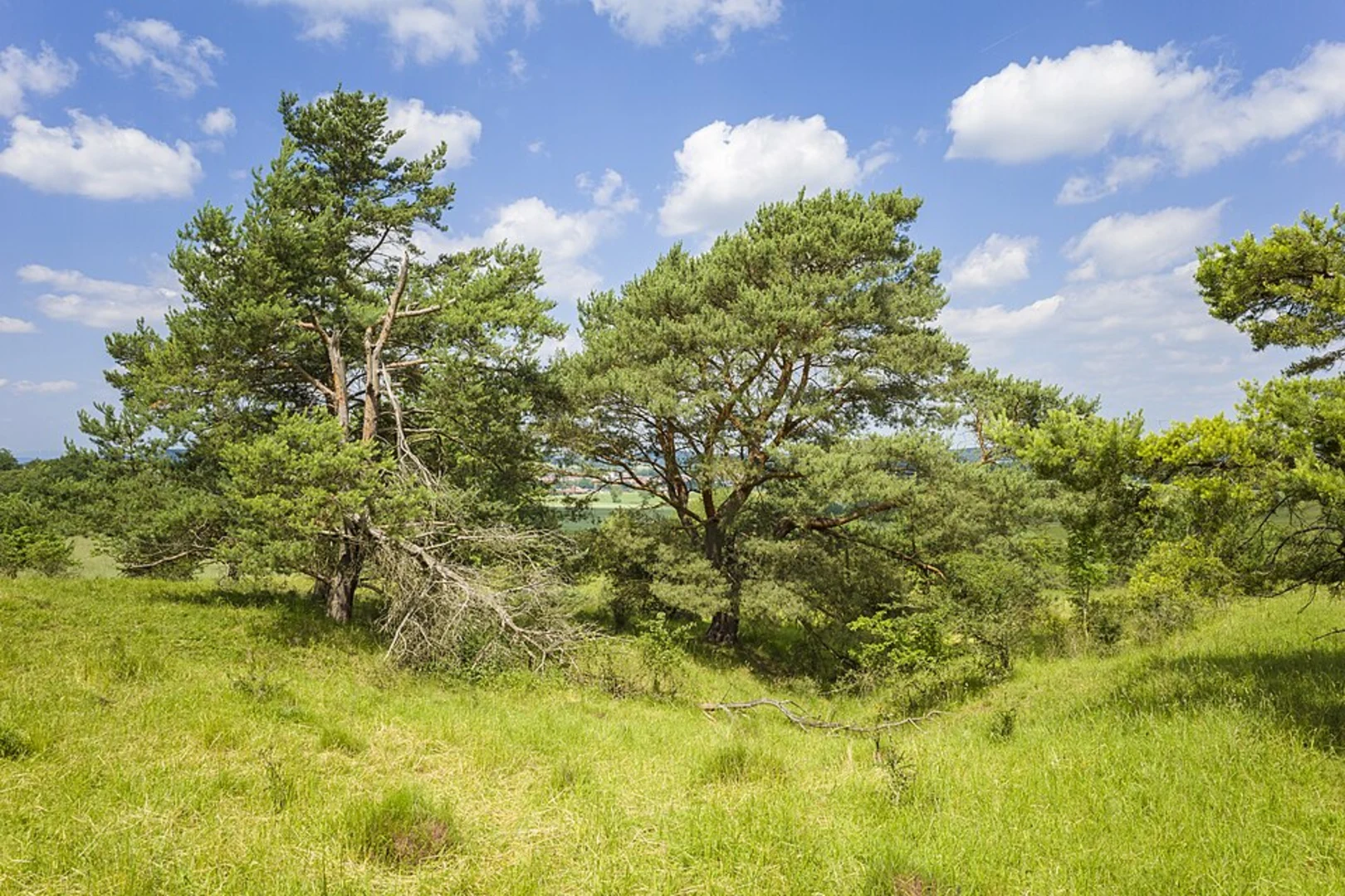 An image depicting the trail Kapellenberg Loop via Burgen und Schlosserweg and its surrounding area.