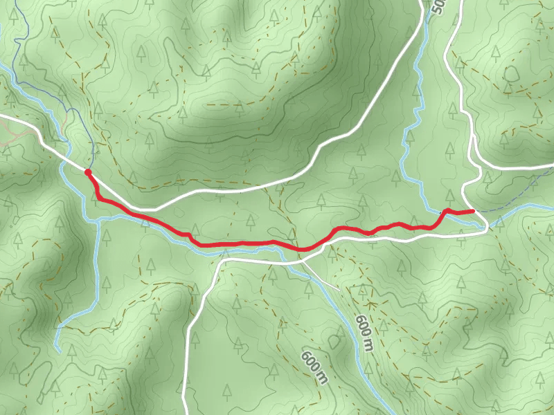 Wilson River Wagon Road Trail