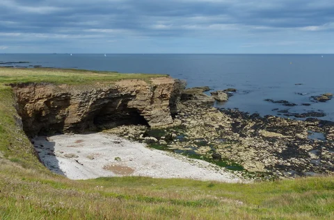 An image depicting the trail Souter Lighthouse and Whitburn Coastal Park Loop and its surrounding area.