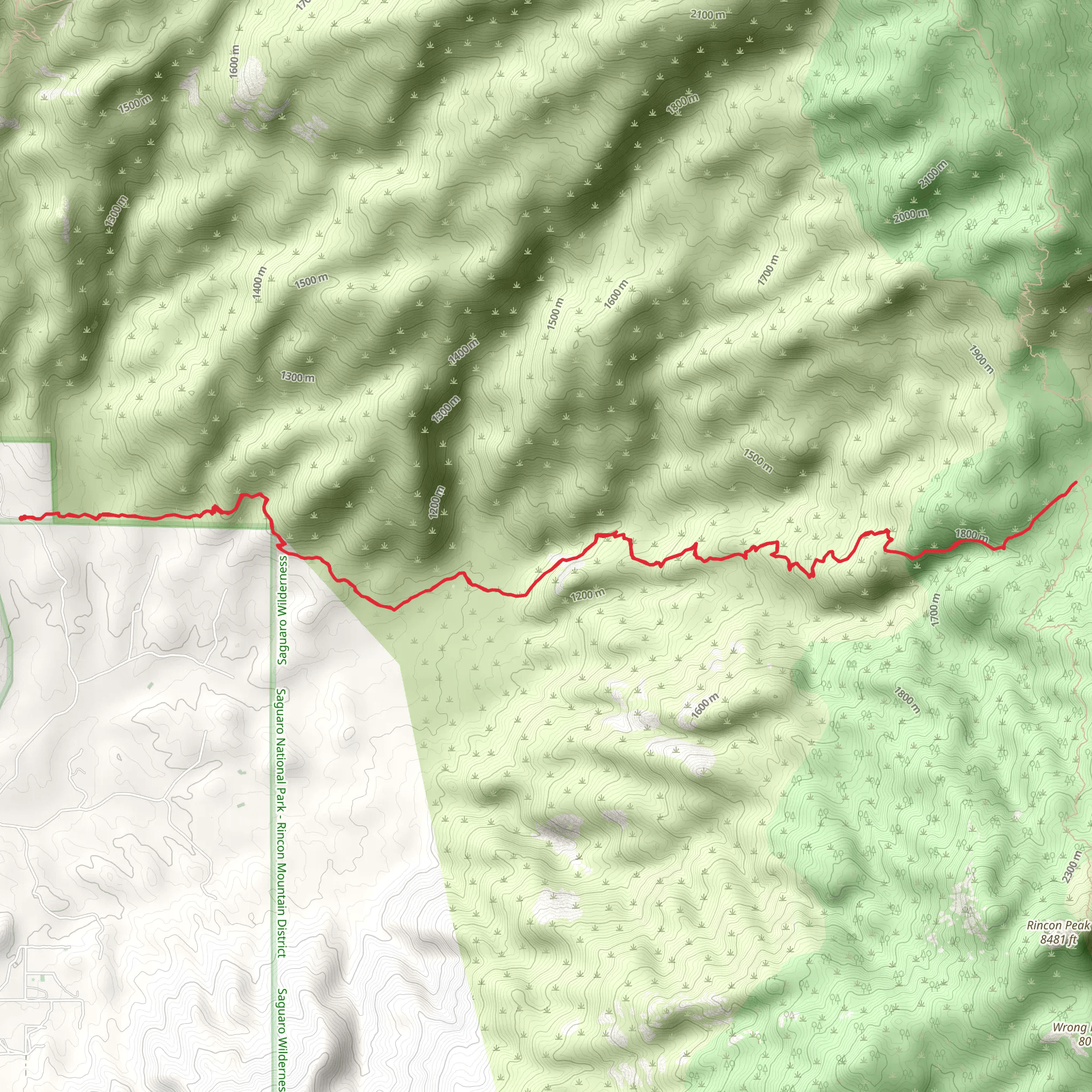 Rincon Creek Trail mobile static map