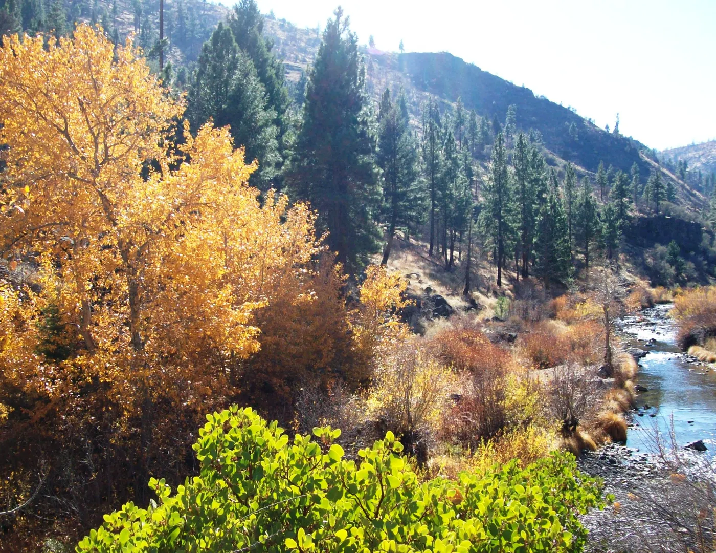 An image depicting the trail Susan River Trail and its surrounding area.