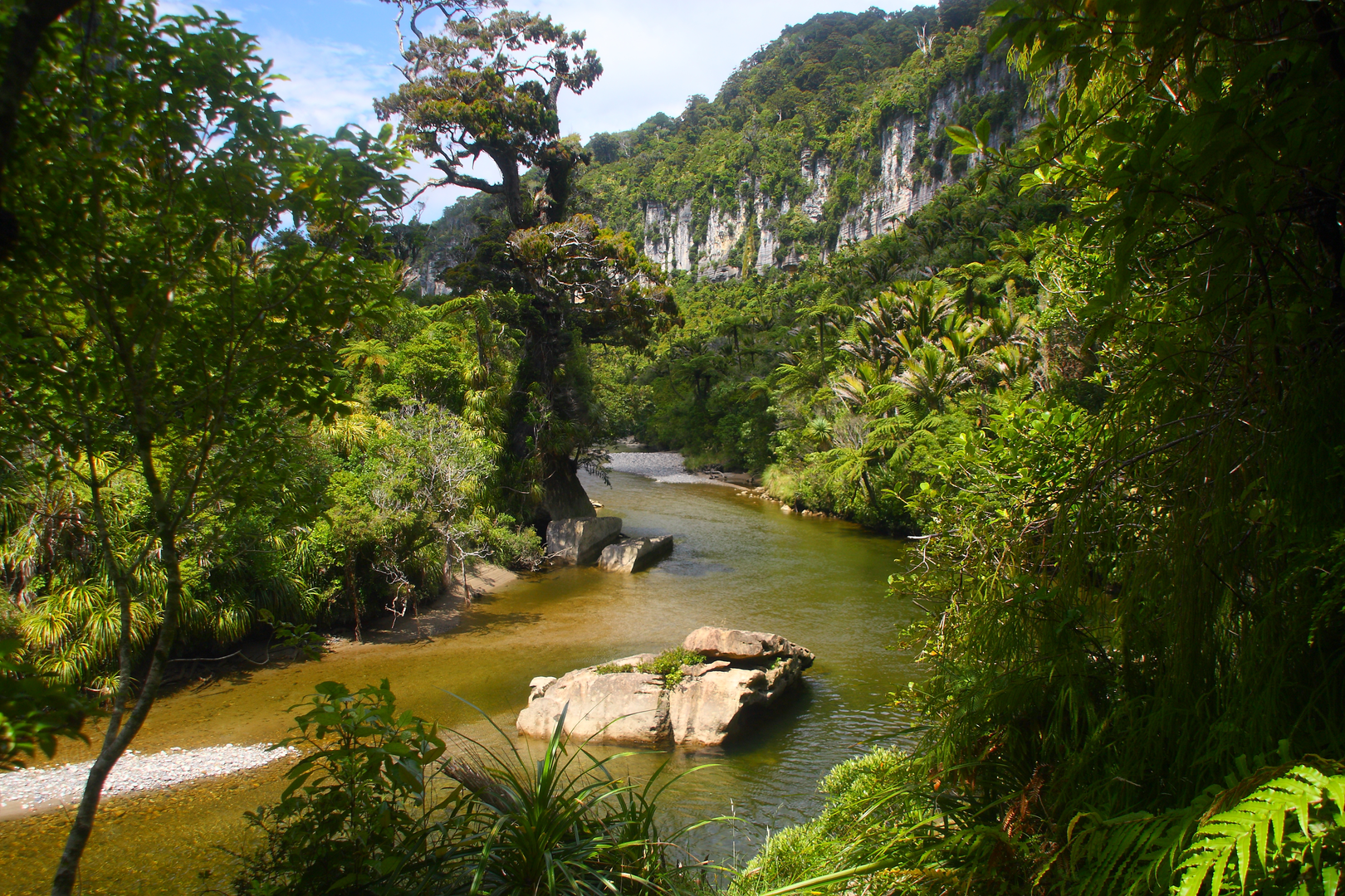 An image depicting the trail Punakaiki - Pororari Loop and its surrounding area.