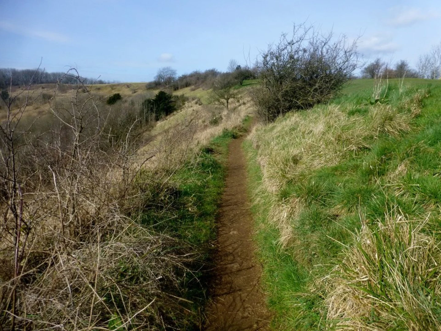 An image depicting the trail Cotswolds - Korea Friendship Trail and its surrounding area.