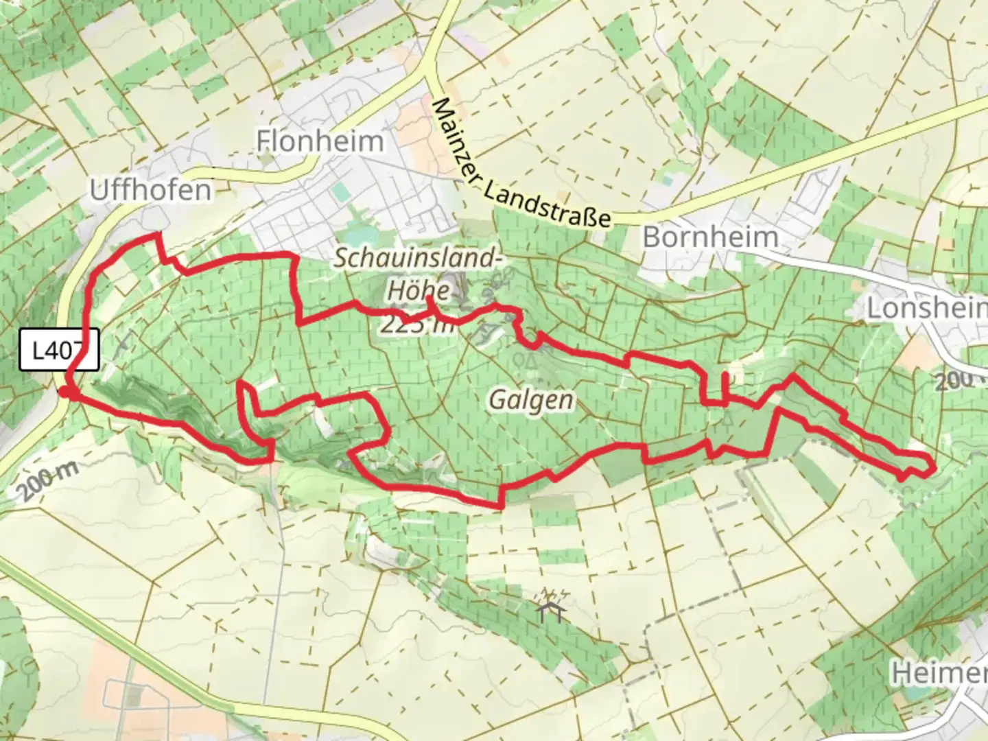 An image depicting the trail Aulheimer Tälchen, Oswaldhohe and Sedanplatz Loop and its surrounding area.