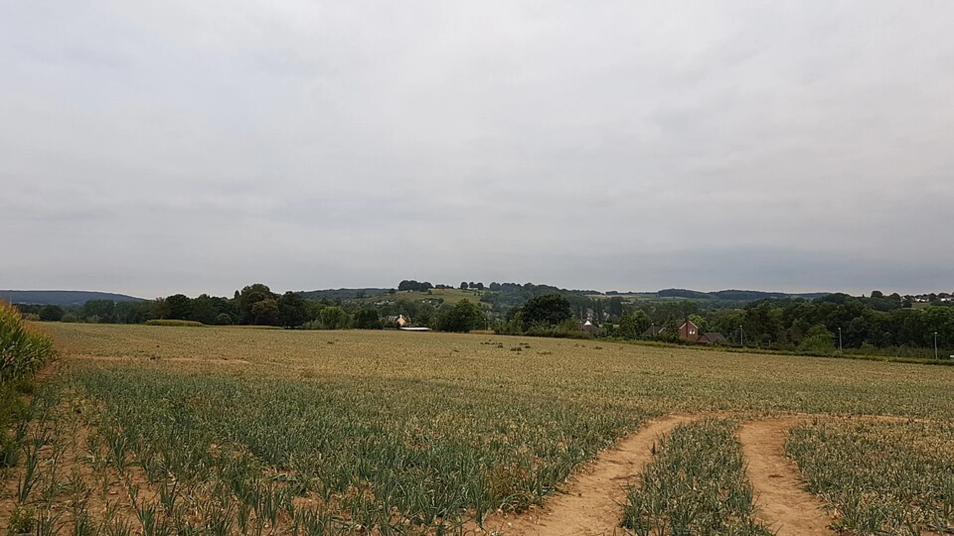 An image depicting the trail Cartilservoetpad, Eyser Bossche, Keutenberg and Dolsberg Loop and its surrounding area.