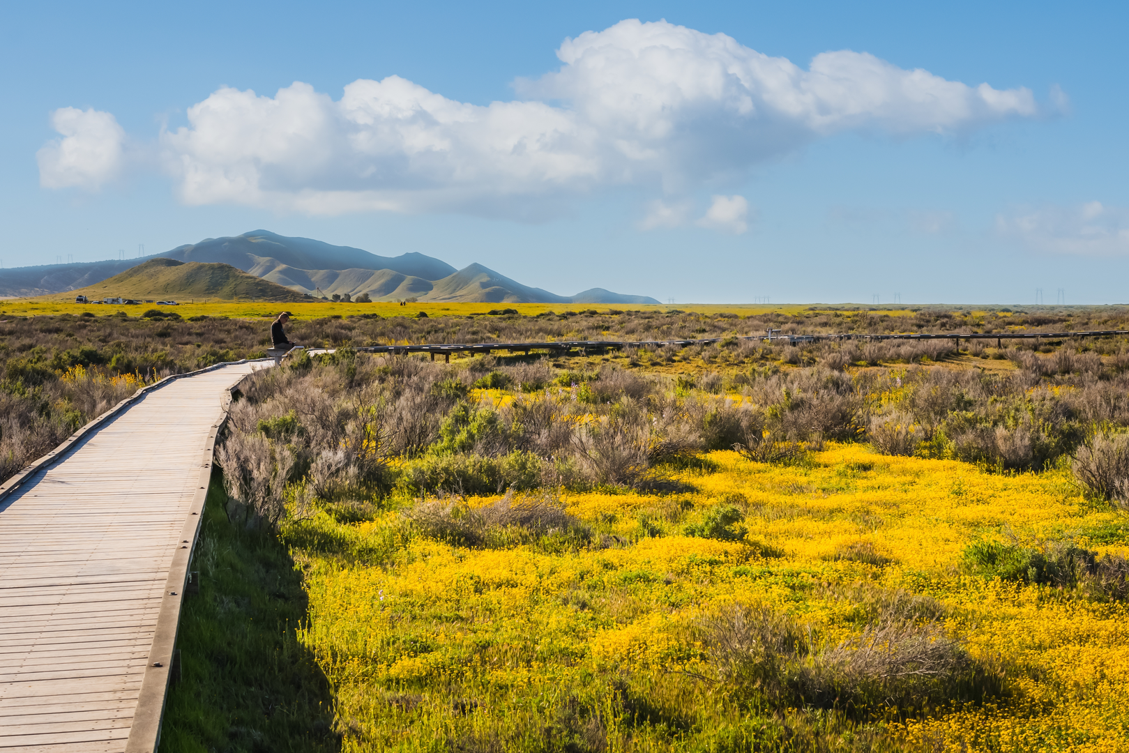 An image depicting the trail Carrizo Mountain via Painted Gorge Road and its surrounding area.