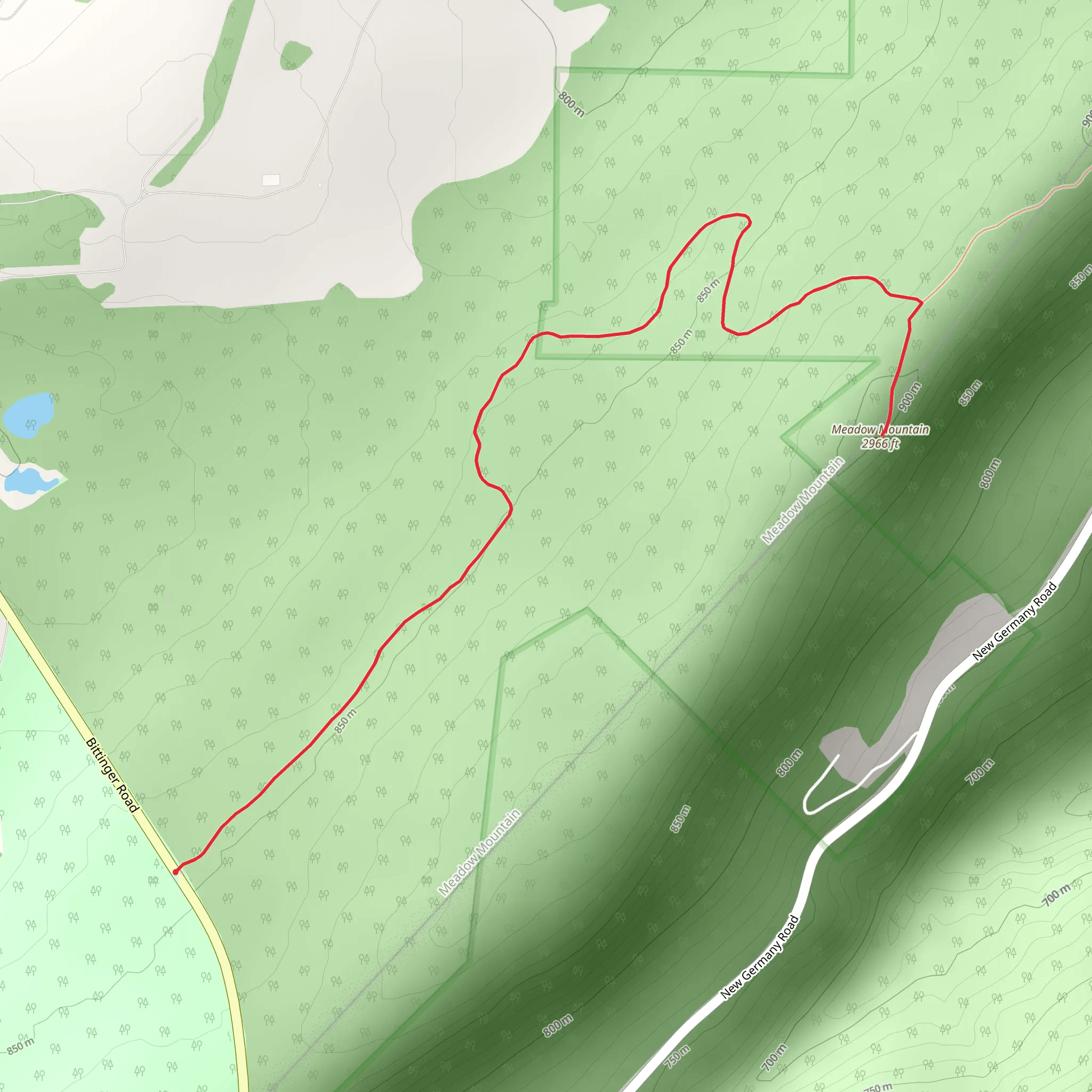 Meadow Mountain fromm Bittinger Road mobile static map
