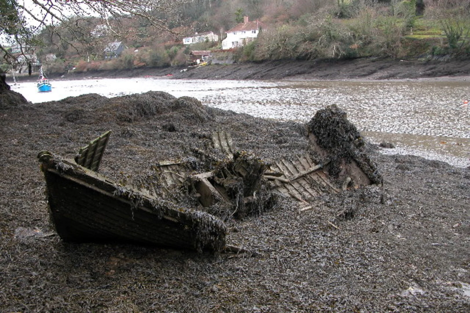 An image depicting the trail Mylor Bridge and Penryn Loop and its surrounding area.
