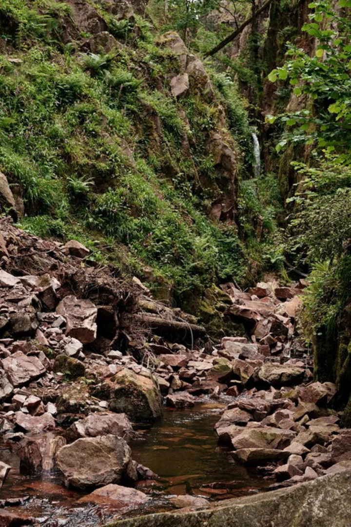 An image depicting the trail Eskdale Walk and its surrounding area.