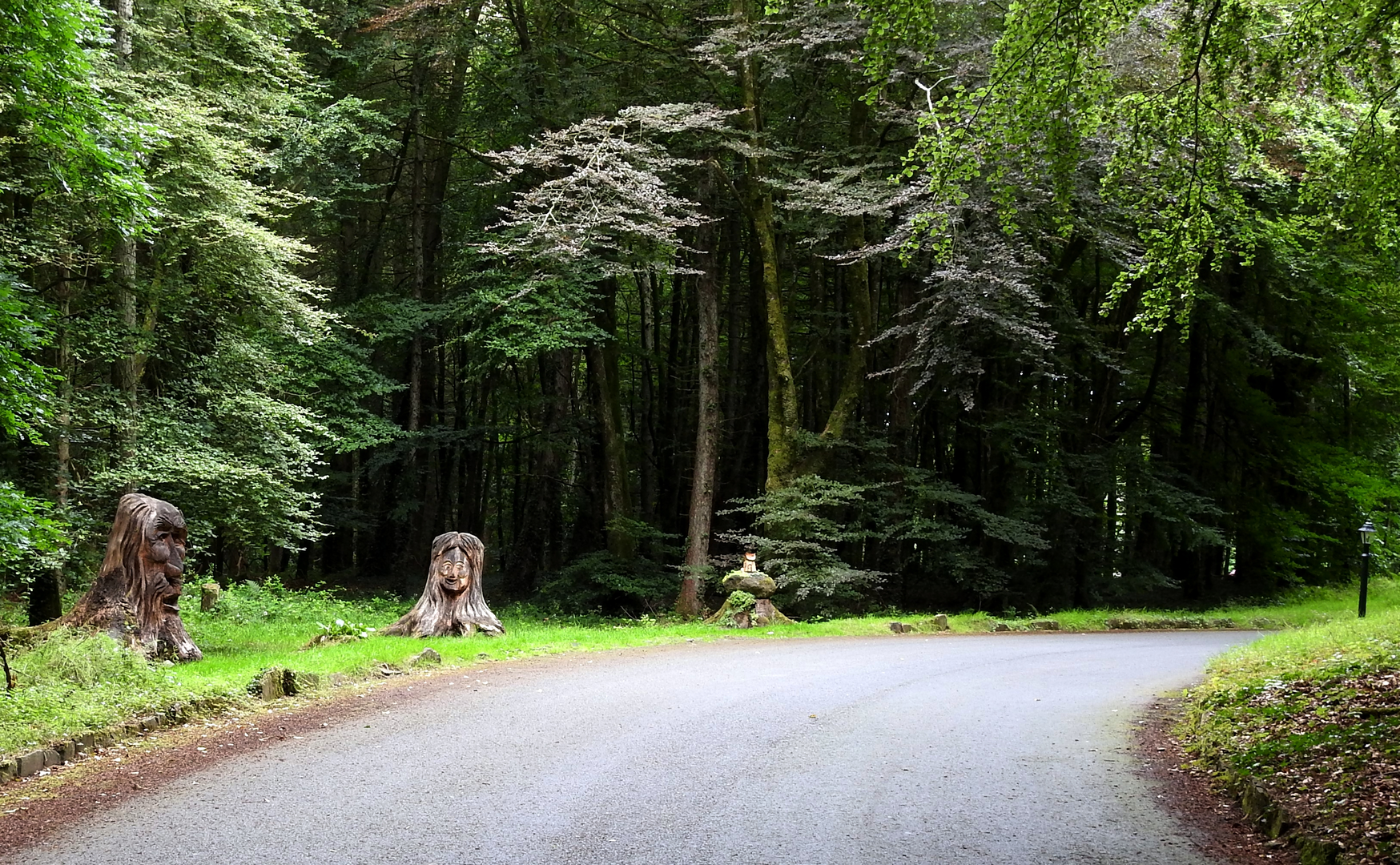 An image depicting the trail Kinnitty - Knockbarron Loop and its surrounding area.