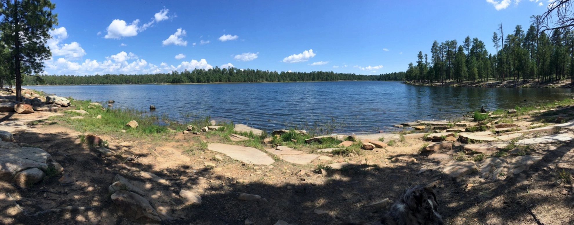 An image depicting the trail 235 Chevelon Canyon Trail and its surrounding area.