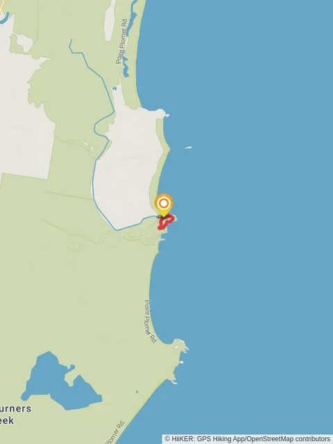 Big Hill Rainforest Track