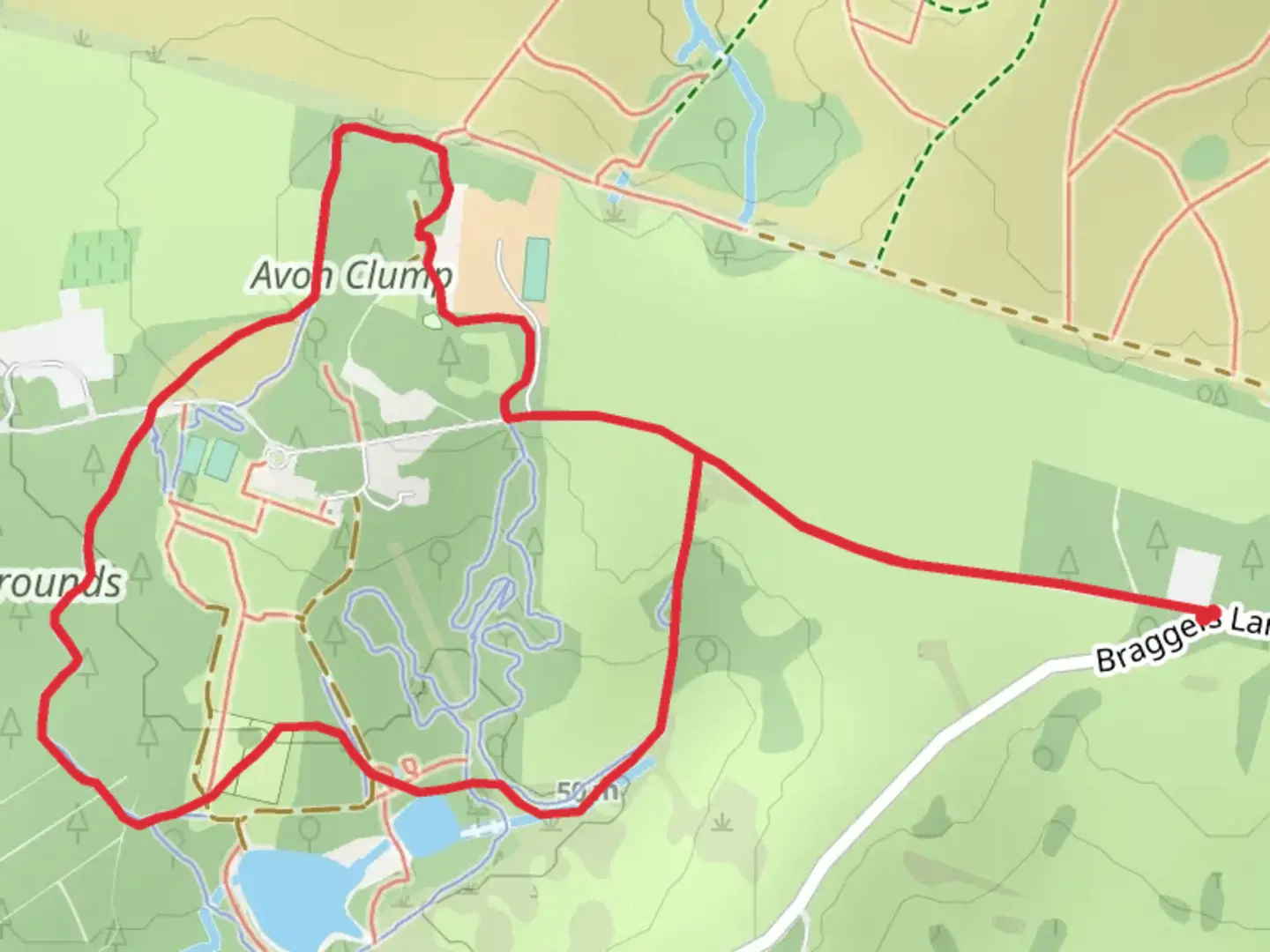 An image depicting the trail Avon Tyrrell Blue Trail and its surrounding area.