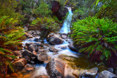 An image depicting the trail Eurobin Falls Trail and its surrounding area.