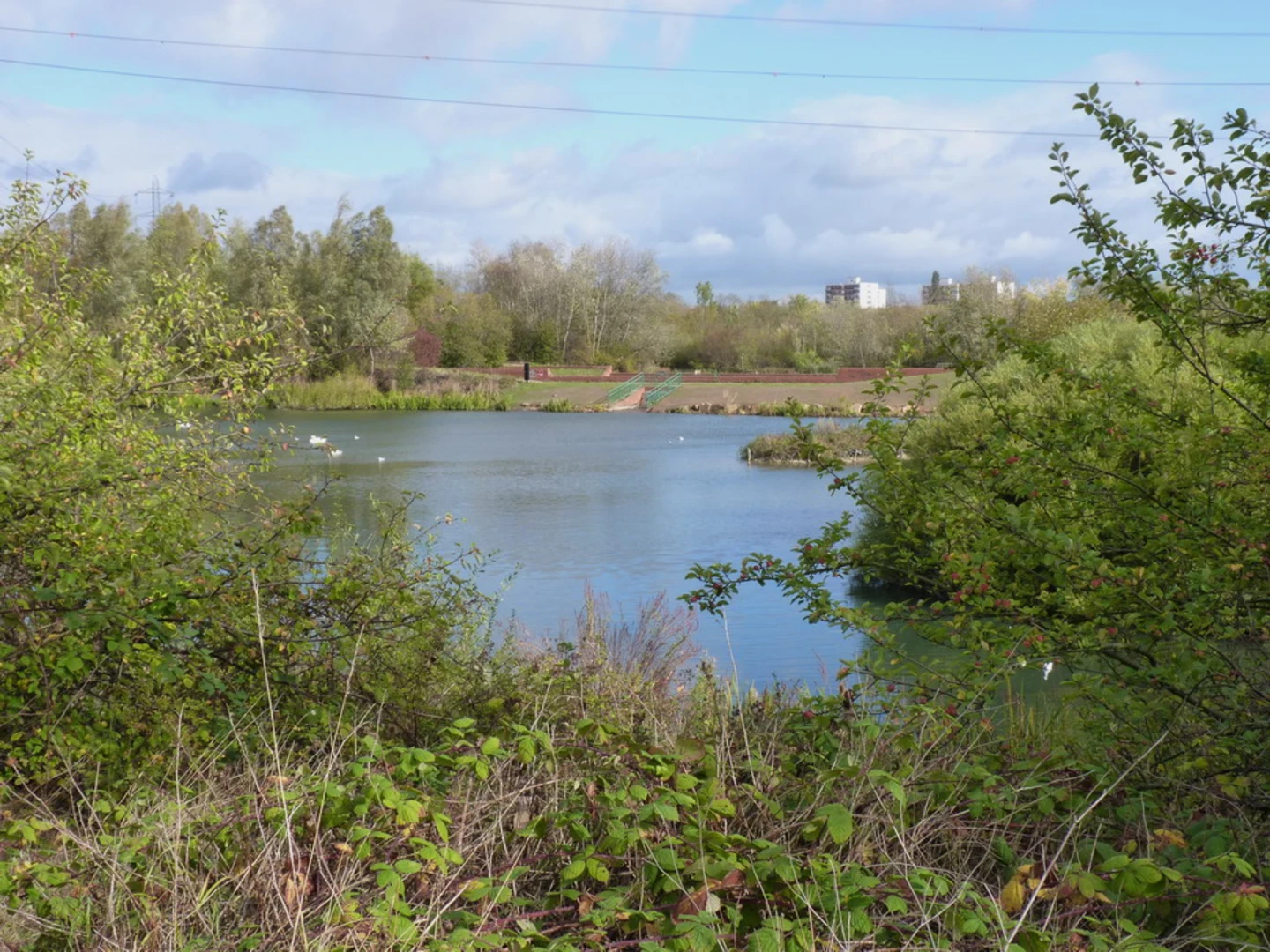 An image depicting the trail Birmingham Canal and its surrounding area.