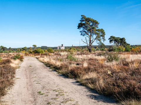 Hoog Buurlosche, Braamberg and Radio Weg Loop