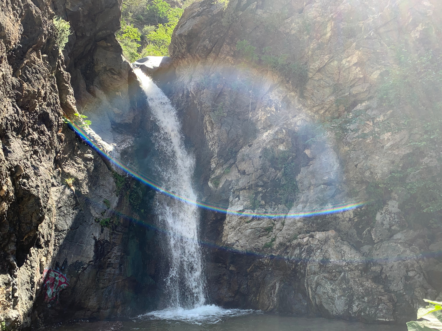 An image depicting the trail Stough Saddle Loop and its surrounding area.