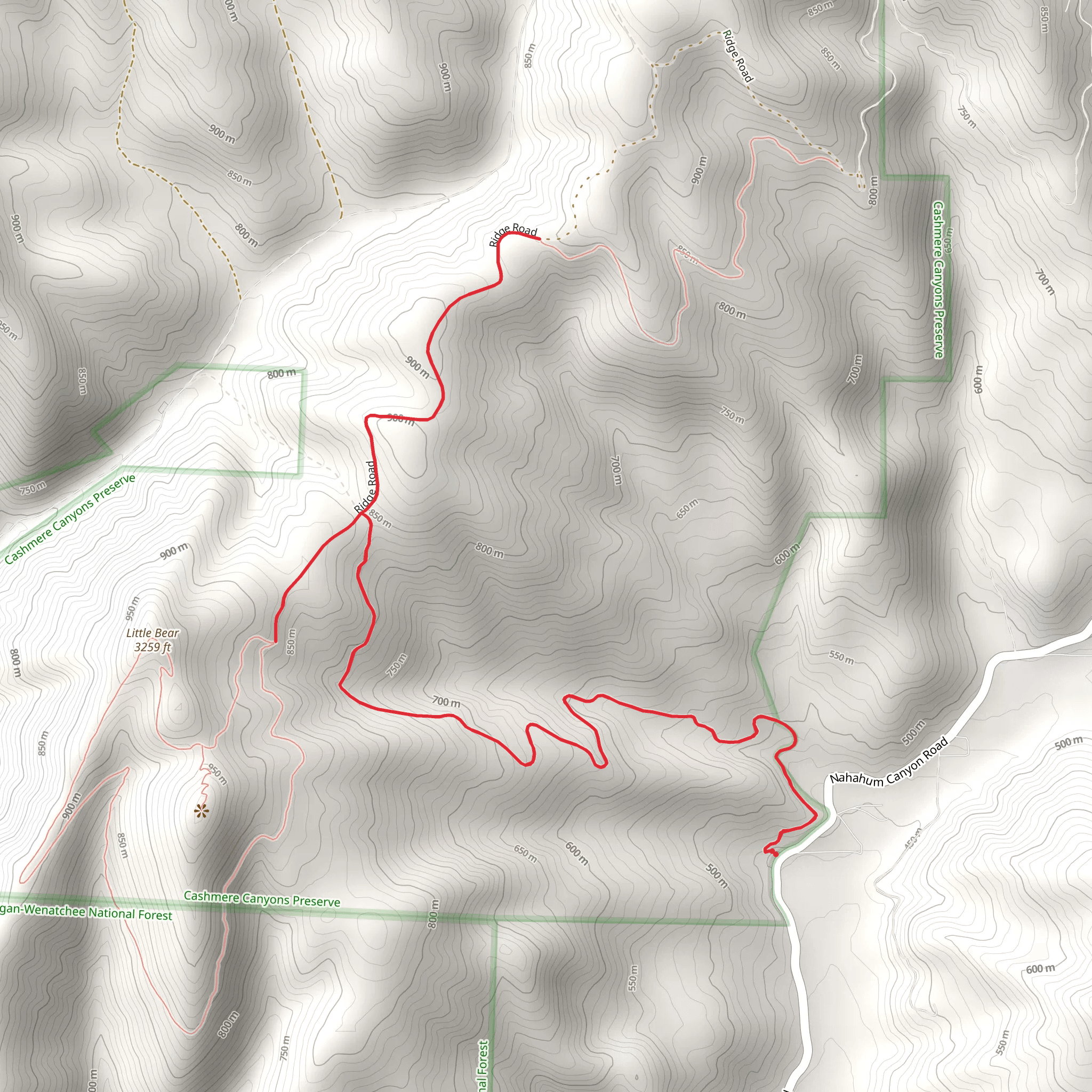 Nahahum Trail and Ridge Road mobile static map