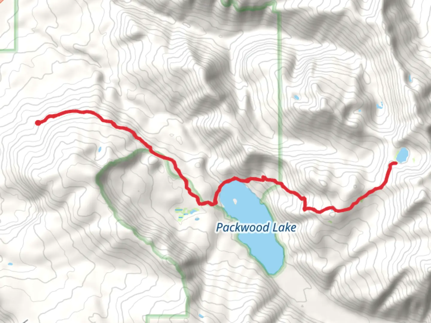 An image depicting the trail Lost Lake via Packwood Lake Trail and its surrounding area.