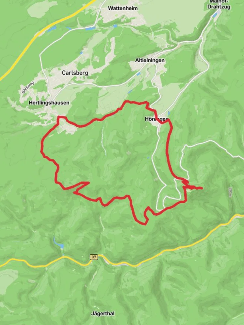 An image depicting the trail Honingen and Kieskautberg Loop and its surrounding area.