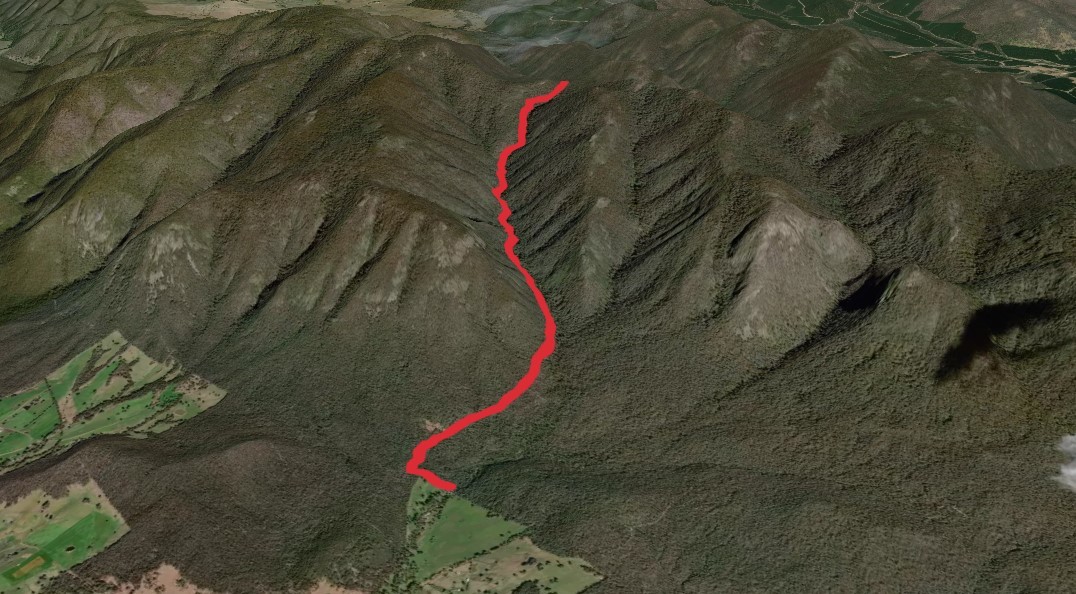 Hinces Creek and Hinces Saddle Trail