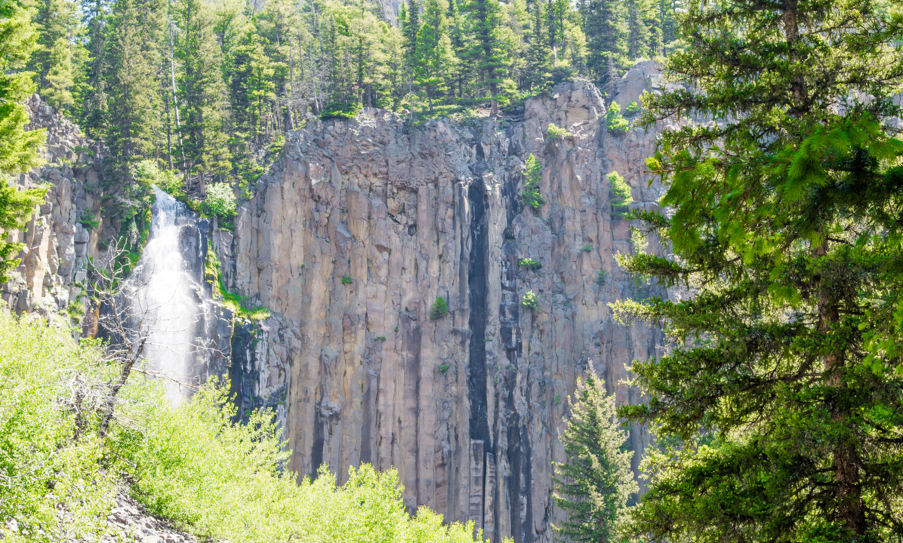 An image depicting the trail Palisade Falls Trail and its surrounding area.