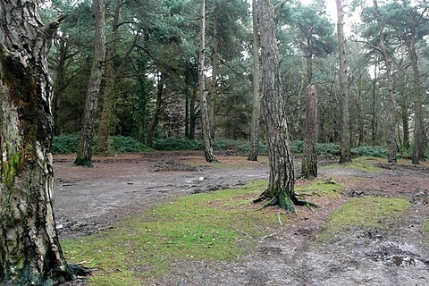 East Budleigh Common and Bystock Nature Reserve