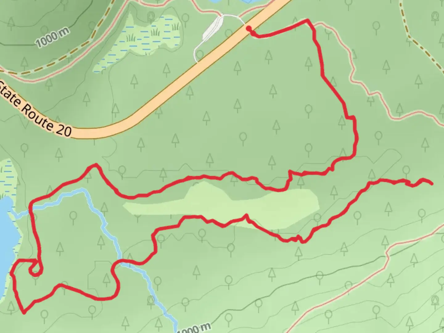 An image depicting the trail Lake Leo Trail and its surrounding area.