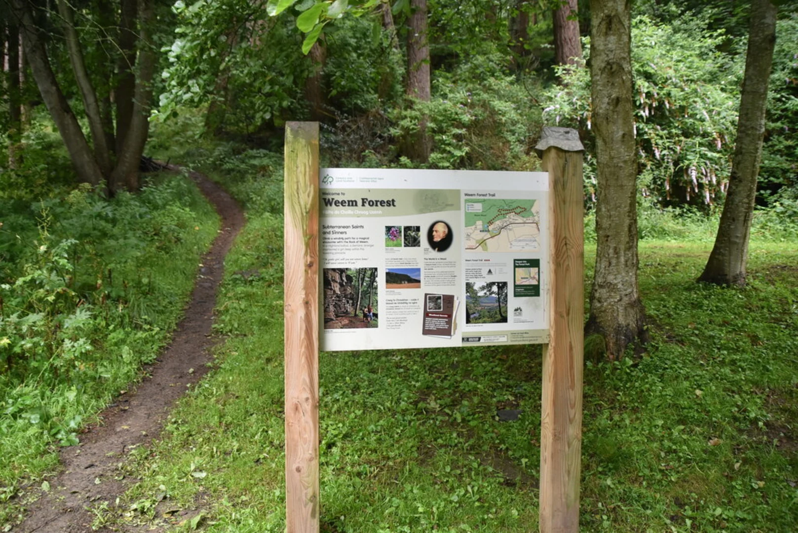 An image depicting the trail Weem Forest Loop Trail and its surrounding area.