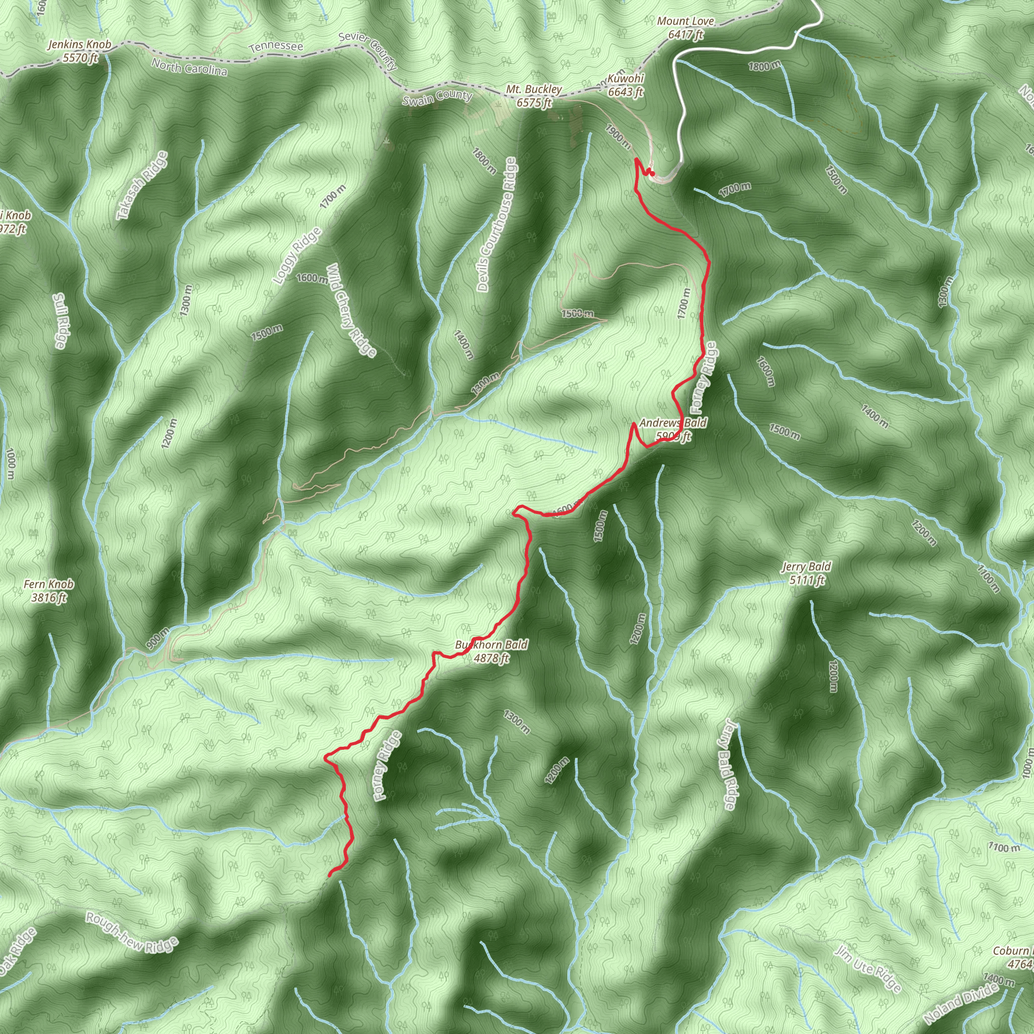Board Camp Gap via Forney Ridge Trail mobile static map