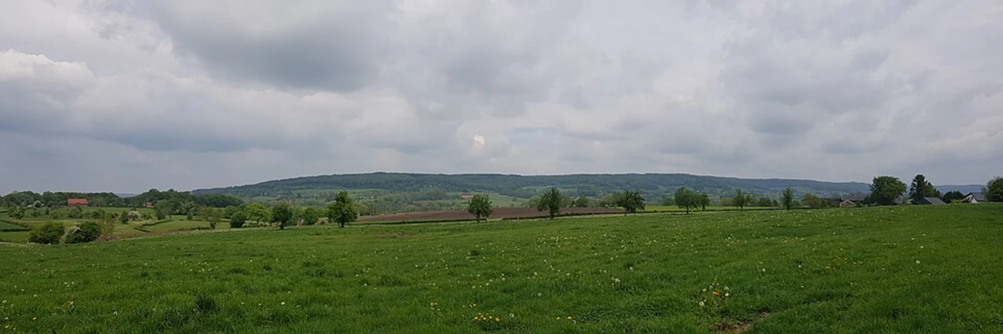 An image depicting the trail Epenerbaan and Holsetterbosch Loop and its surrounding area.