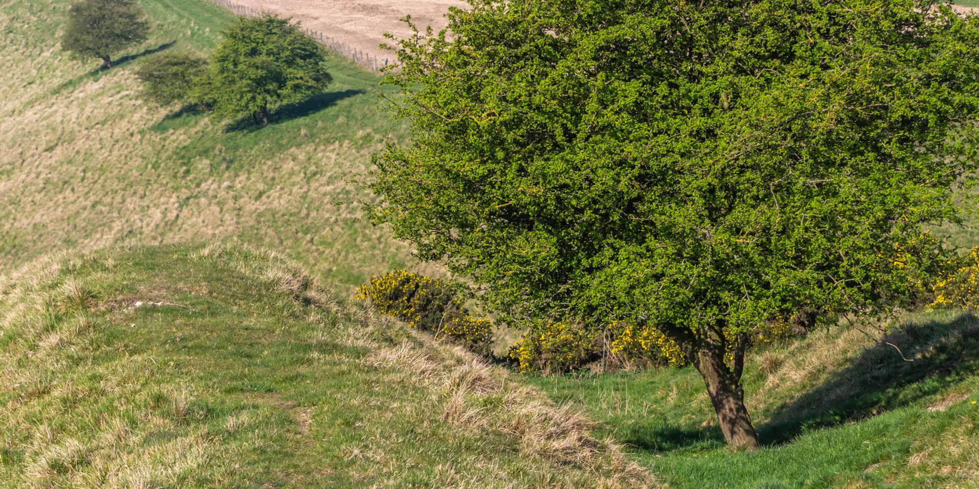 An image depicting the trail Huggate - Frendal Dale and Pasture Dale and its surrounding area.