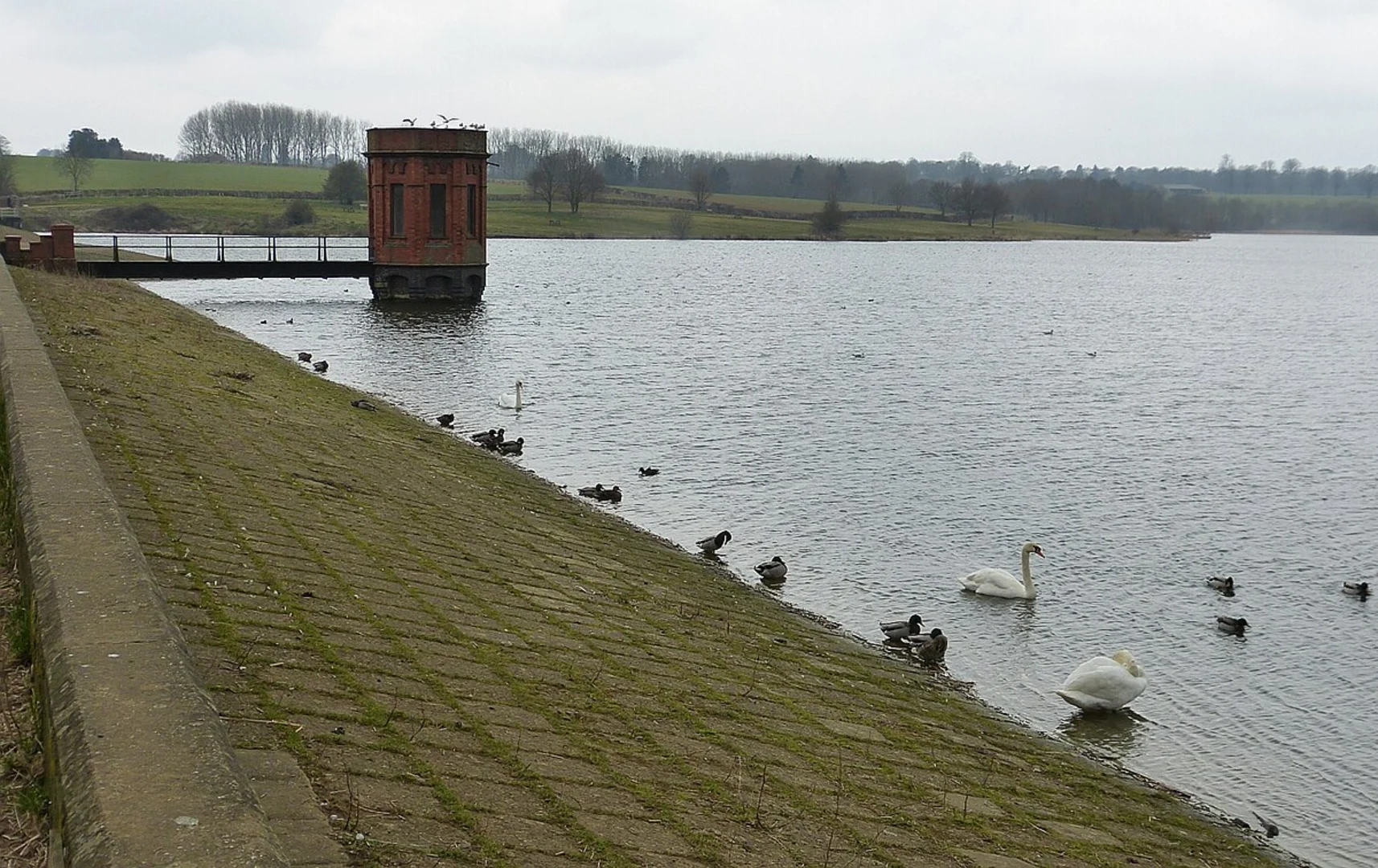 An image depicting the trail Sywell Reservoir and Hayes Wood and its surrounding area.