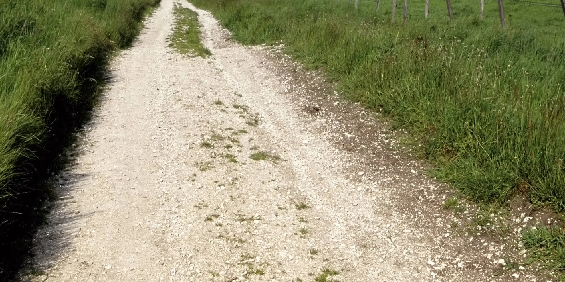 An image depicting the trail The Lambourn Downs and its surrounding area.
