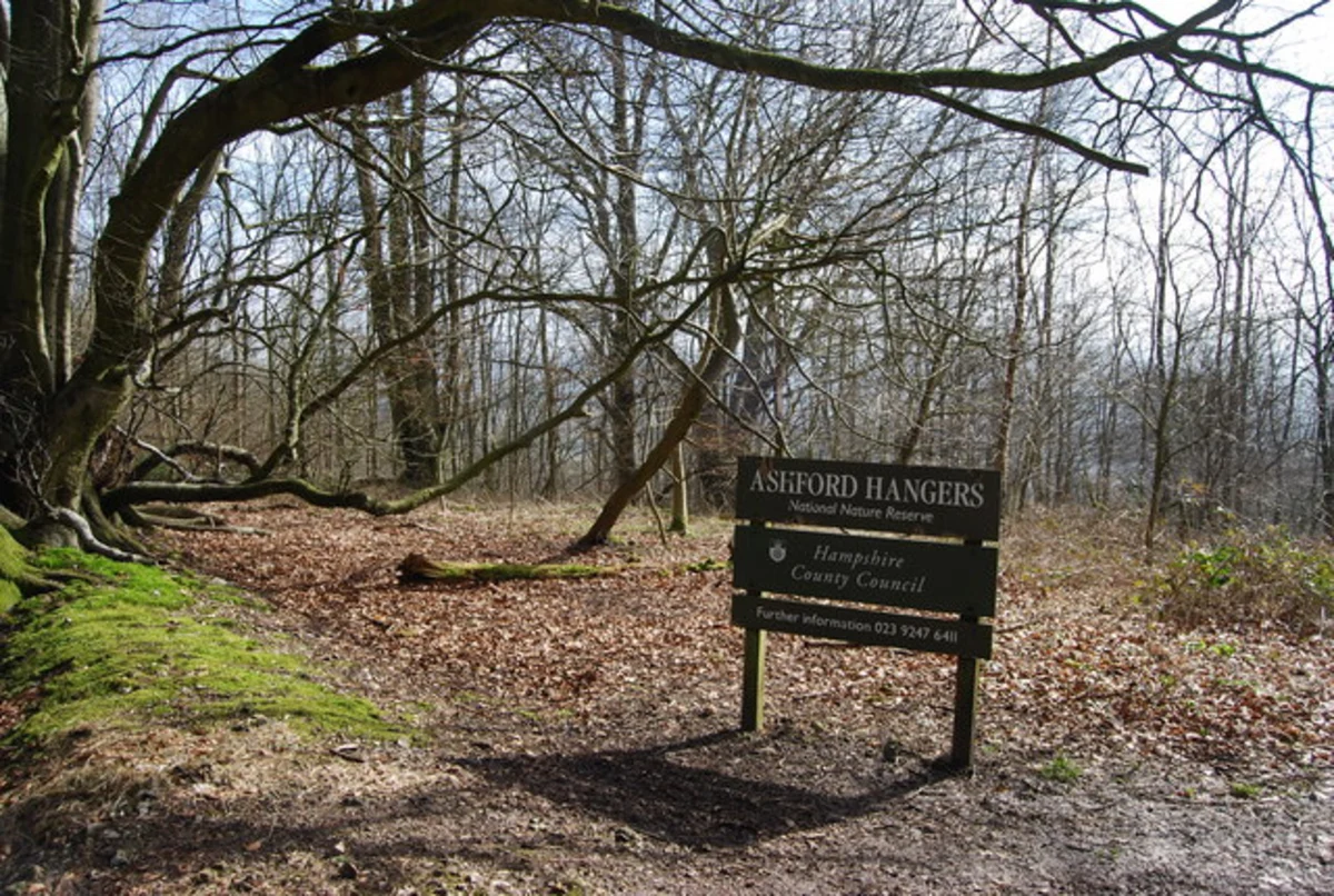 Ashford Hangers National Nature Reserve Loop from Petersfield