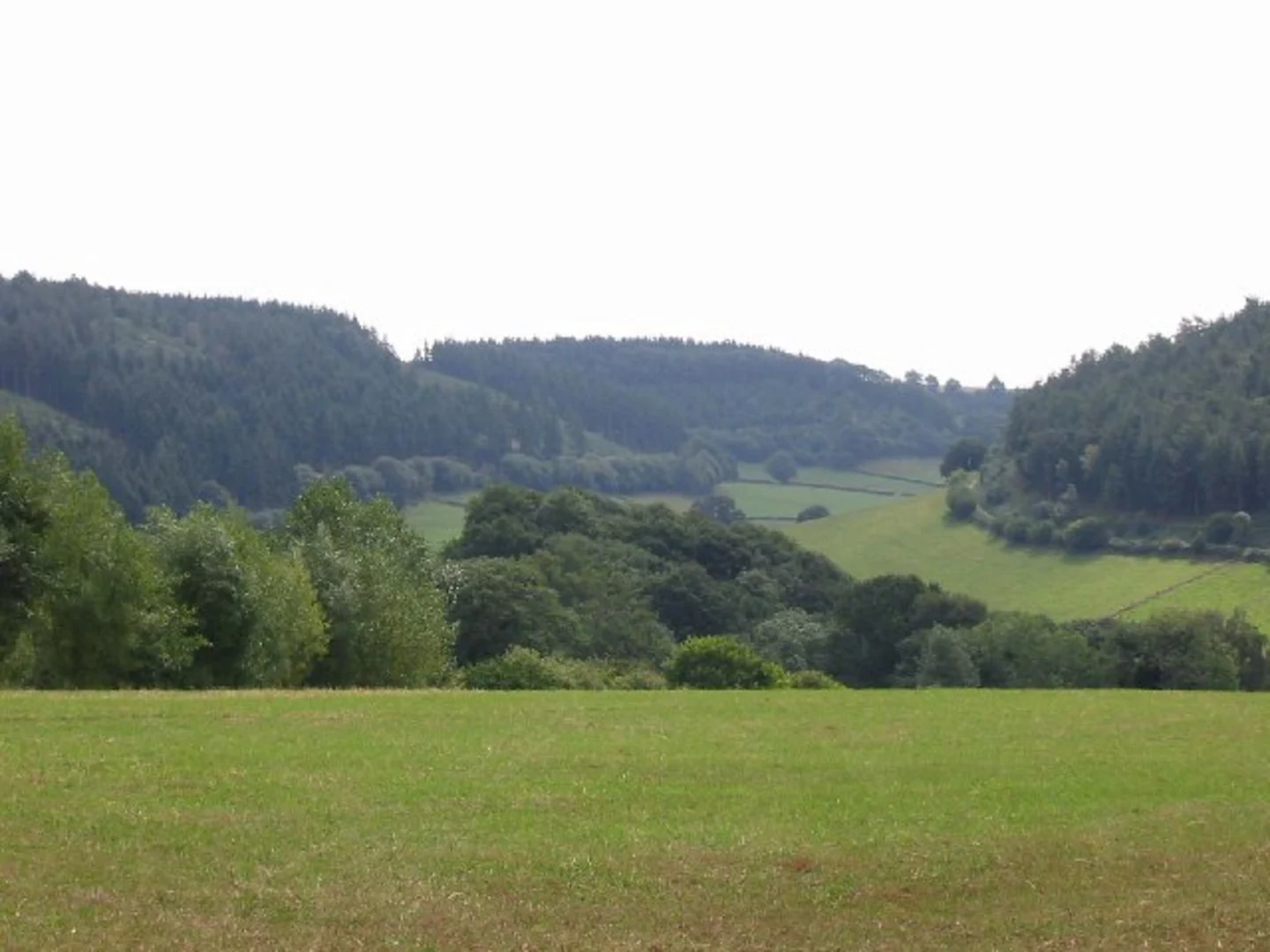 An image depicting the trail High Vinnalls, Garden House Wood, Shobdon Hill Walk and its surrounding area.