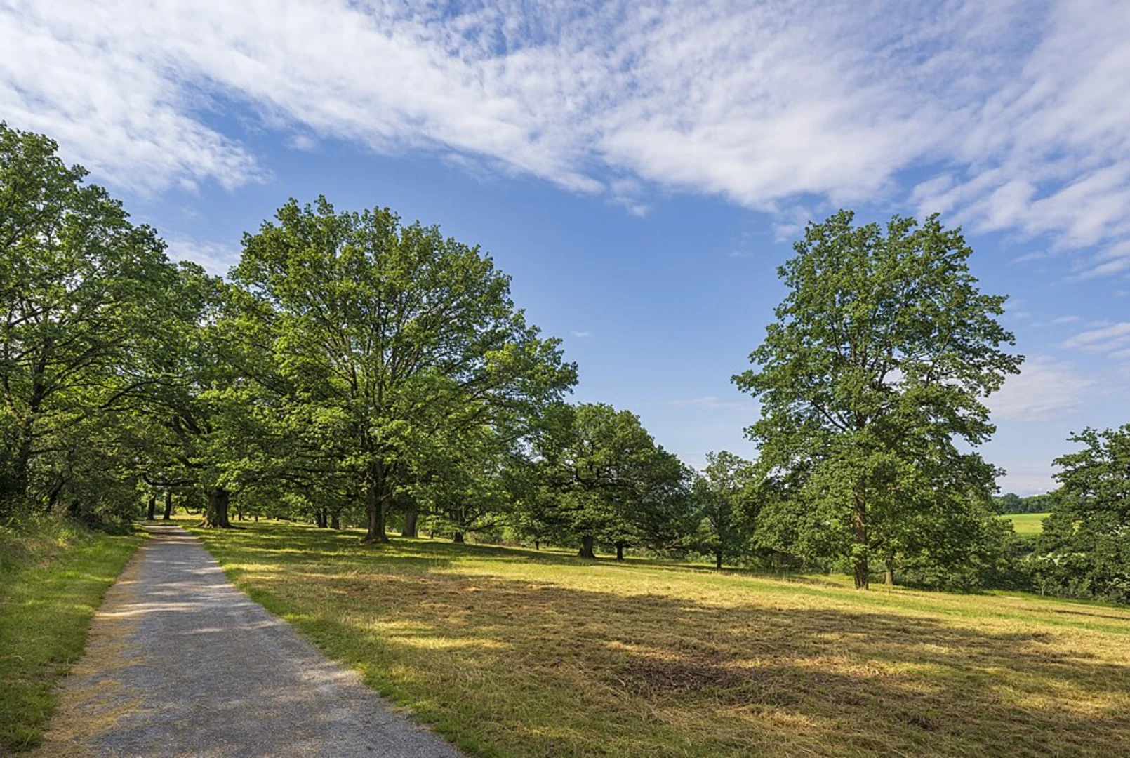 An image depicting the trail Rundweg Stadtteil Sillenbuch and its surrounding area.