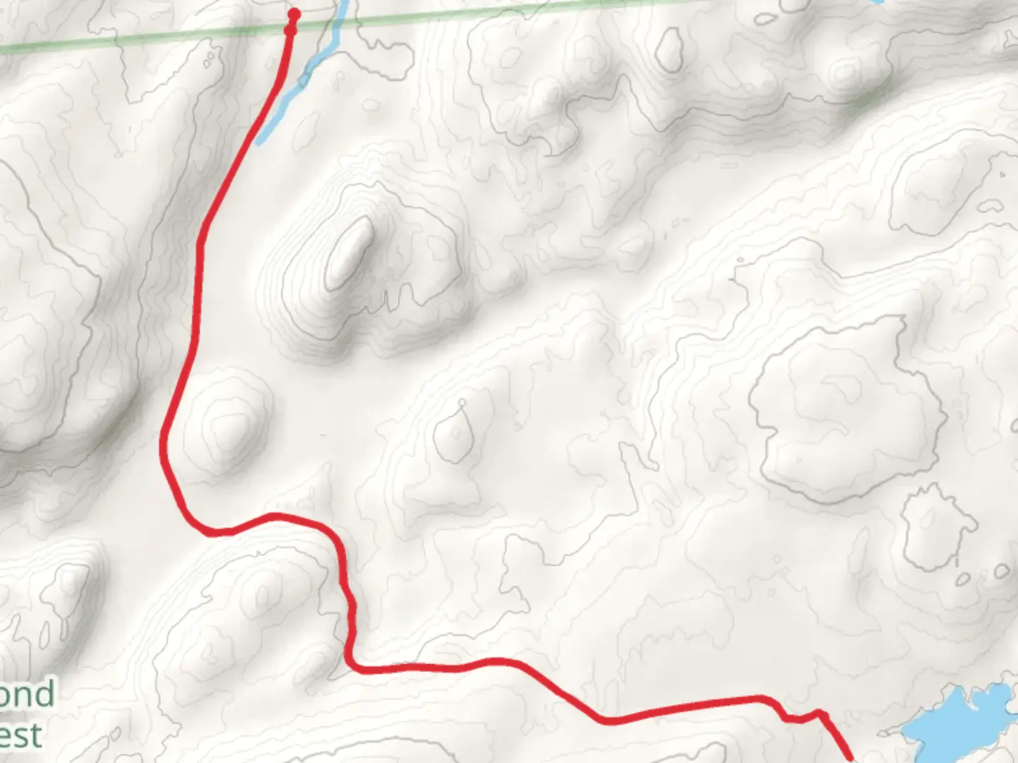 An image depicting the trail Streeter Lake from Coffin Mills Road and its surrounding area.