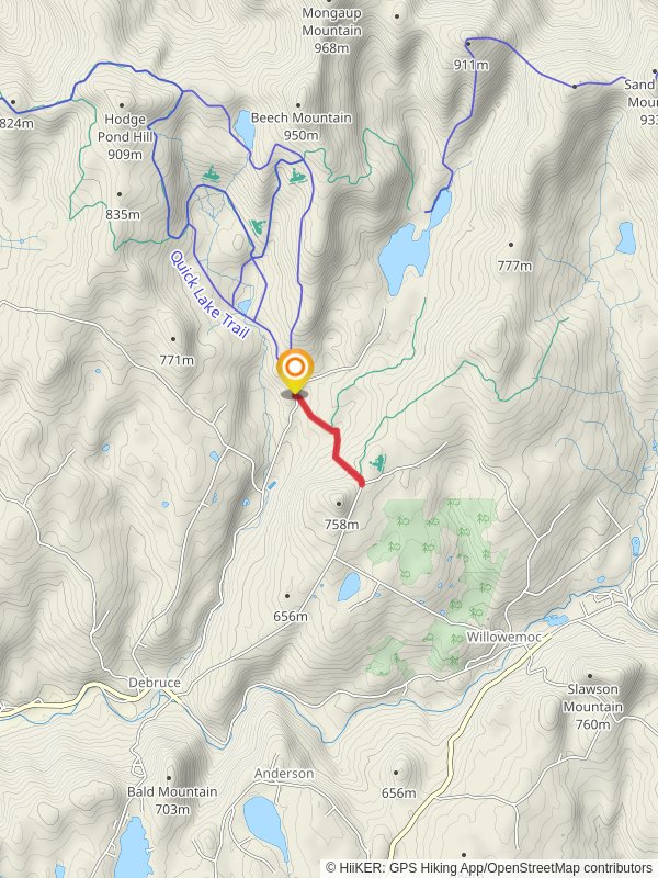 Mongaup Creek via Terwilliger Road