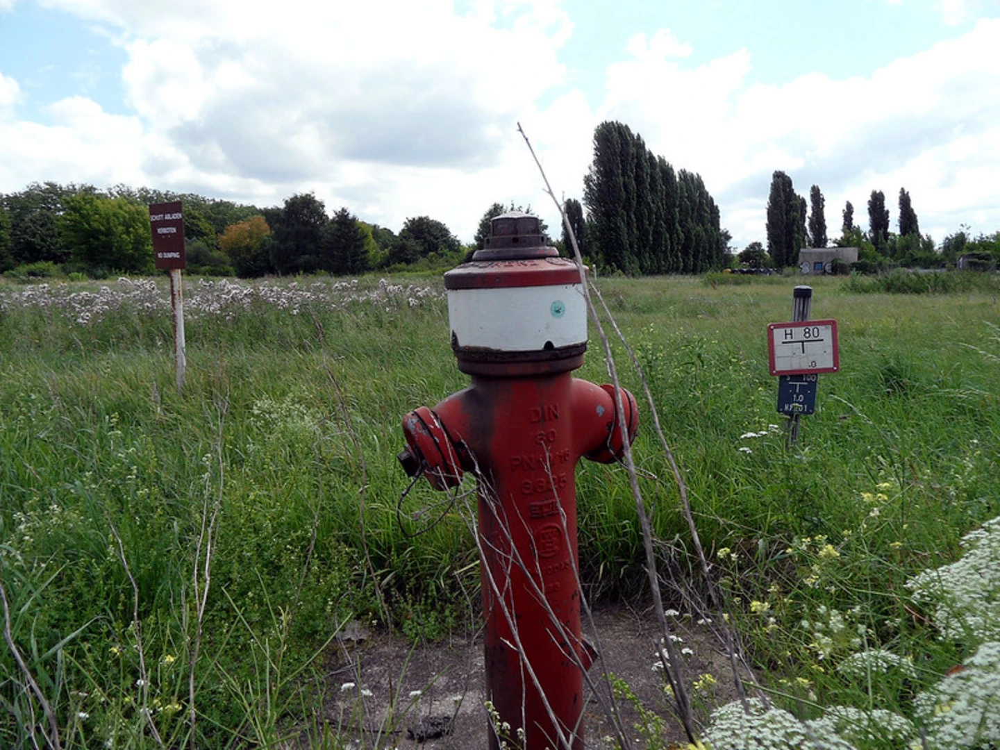 An image depicting the trail Tempelhofer Feld Loop and its surrounding area.