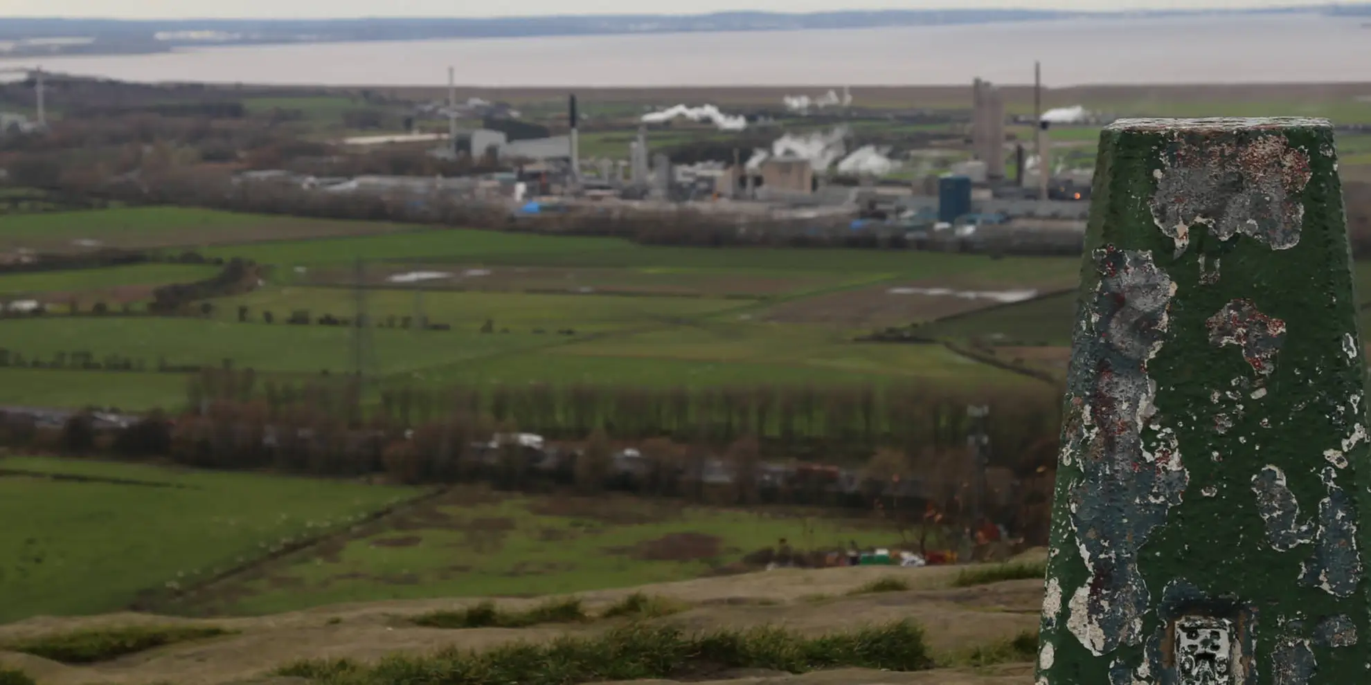 An image depicting the trail Longster Trail and its surrounding area.
