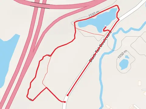 Black Tail Boulevard Loop