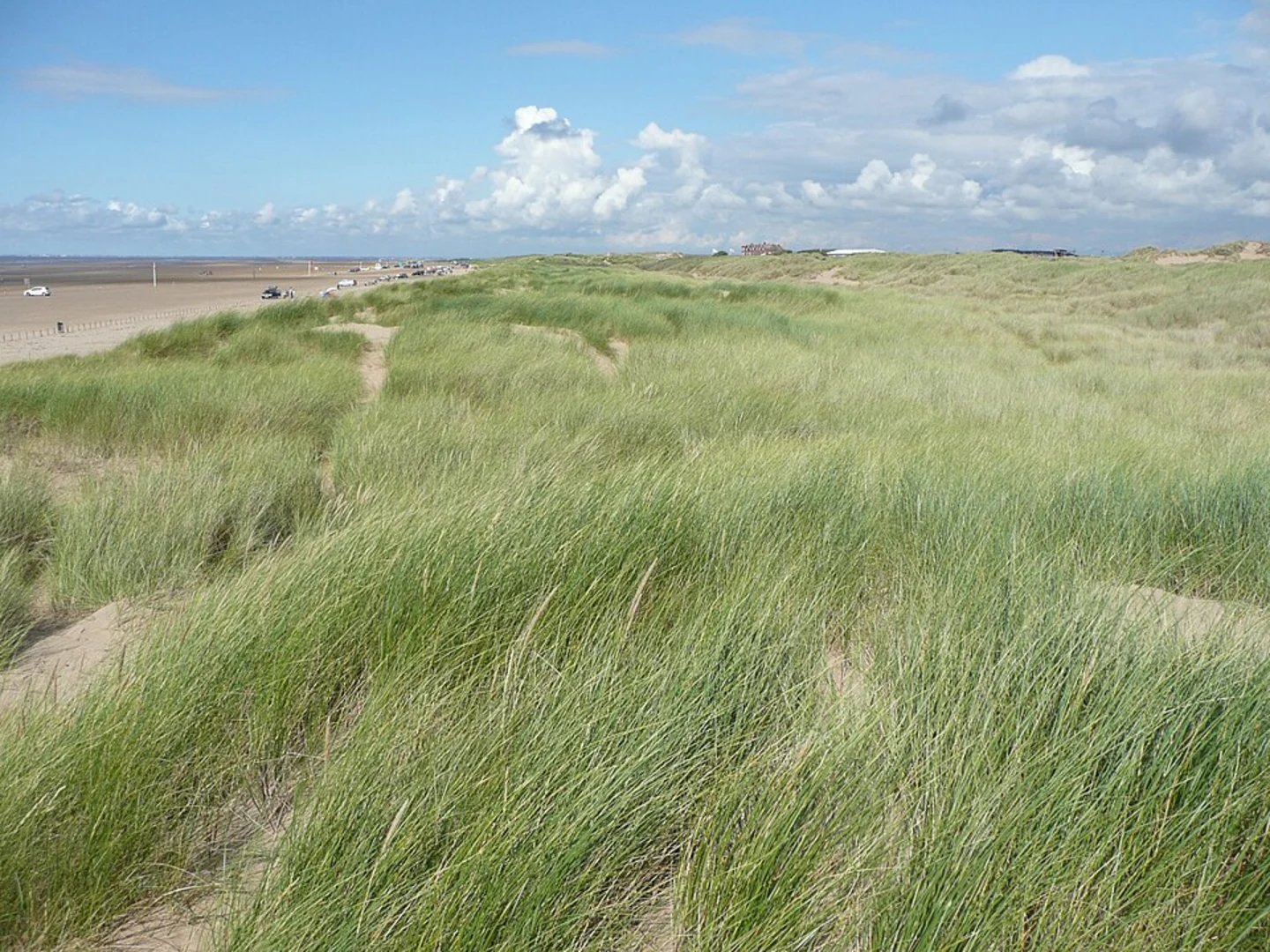 An image depicting the trail Woodland Path and Fisherman's Path Walk and its surrounding area.