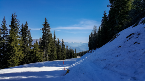 An image depicting the trail Markt Haus - Hauser Kaibling Trail and its surrounding area.