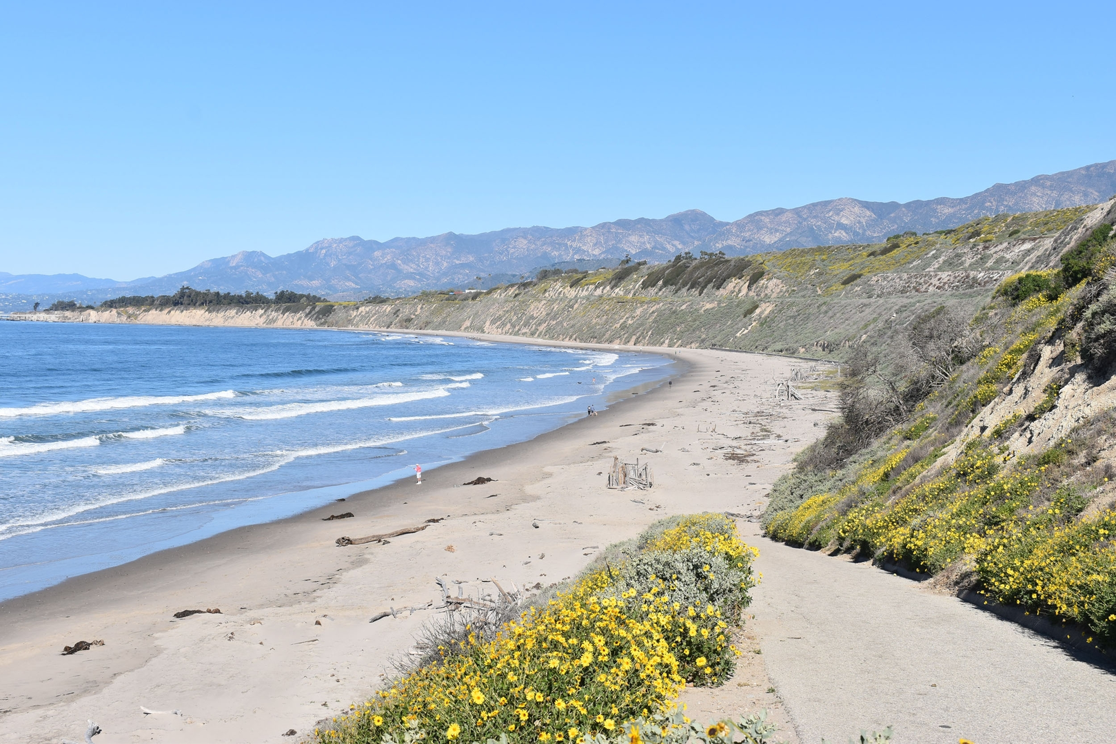 An image depicting the trail Ralph Fertig Memorial Path and its surrounding area.