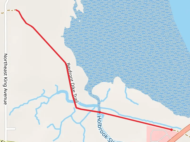 Oregon Coast Road Walk