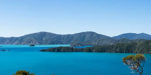 An image depicting the trail Motuara Island Lookout Track and its surrounding area.