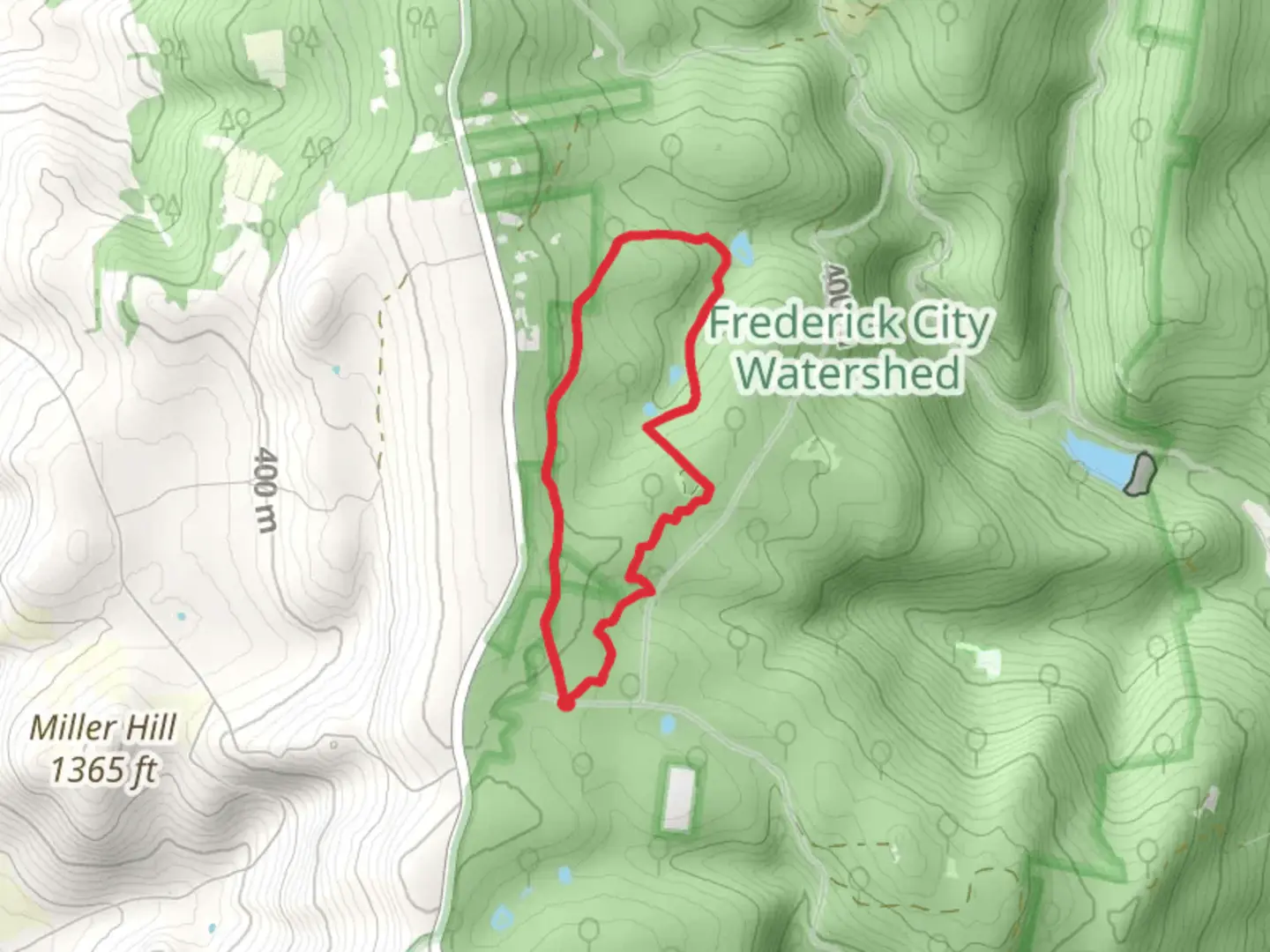 An image depicting the trail Blue Balls - Buck Flats Loop Trail and its surrounding area.