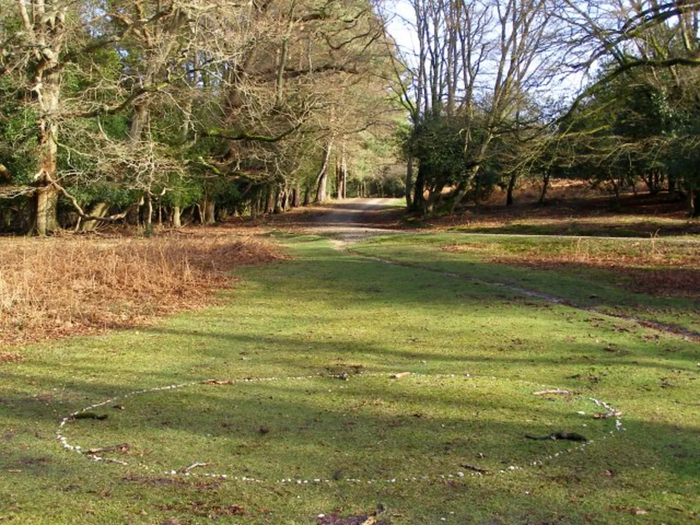 An image depicting the trail Emery Down Circular Walk and its surrounding area.